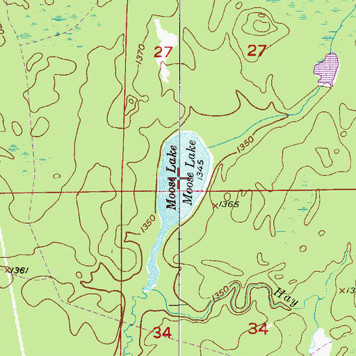 Topographic Map of Moose Lake, MN