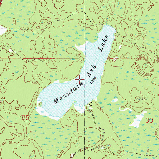 Topographic Map of Mountain Ash Lake, MN
