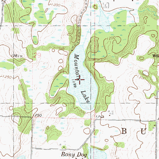 Topographic Map of Mountain Lake, MN