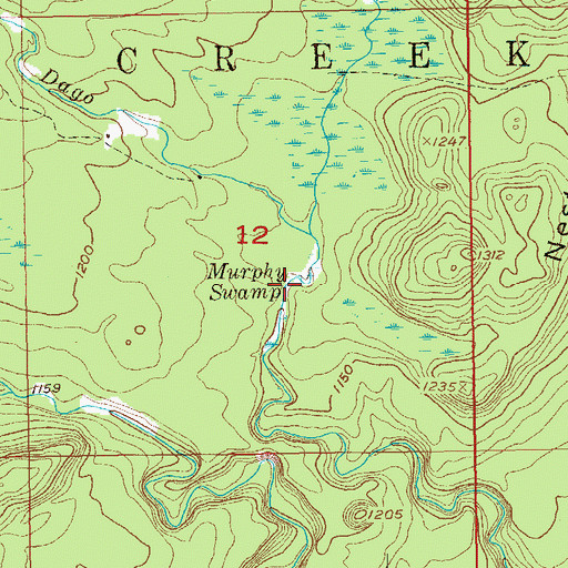 Topographic Map of Murphy Swamp, MN