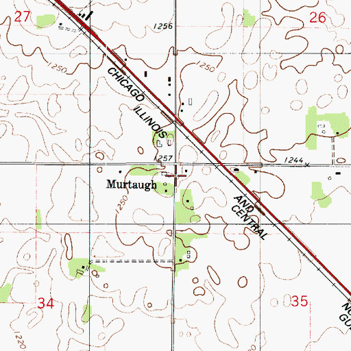 Topographic Map of Murtaugh, MN