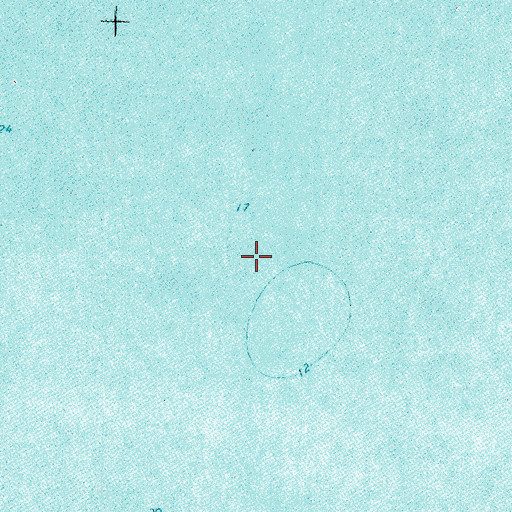 Topographic Map of Muskeg Bay, MN