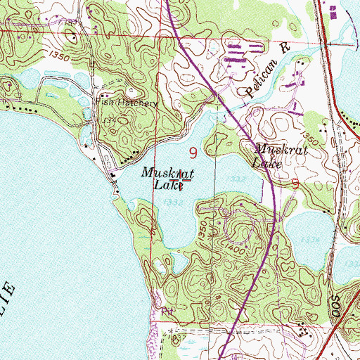 Topographic Map of Muskrat Lake, MN