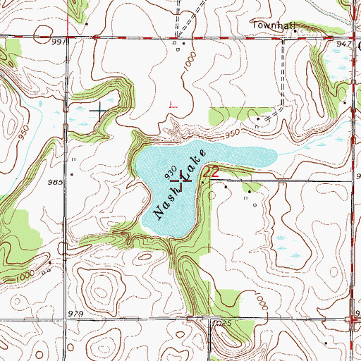 Topographic Map of Nash Lake, MN