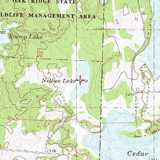Topographic Map of Nellies Lake, MN