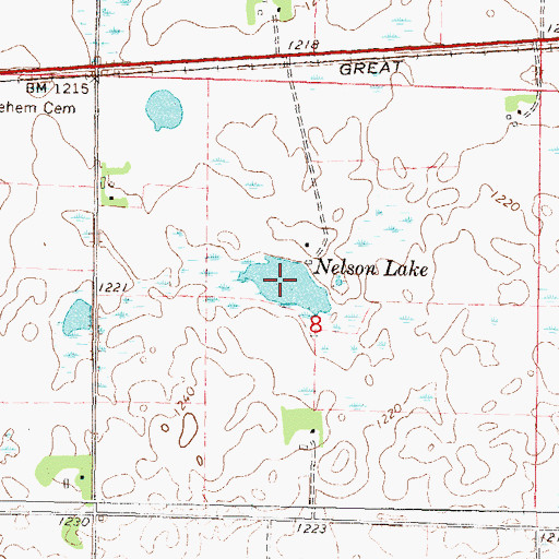Topographic Map of Nelson Lake, MN