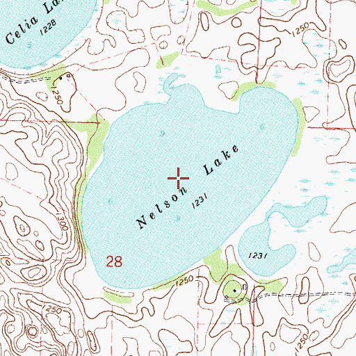 Topographic Map of Nelson Lake, MN