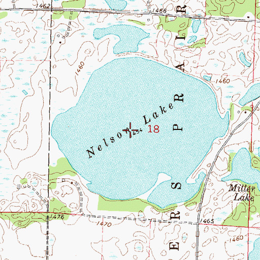 Topographic Map of Nelson Lake, MN