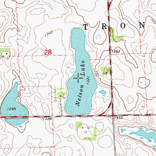 Topographic Map of Nelson Lake, MN