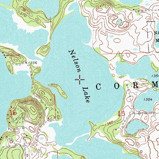 Topographic Map of Nelson Lake, MN