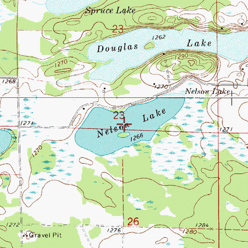 Topographic Map of Nelson Lake, MN