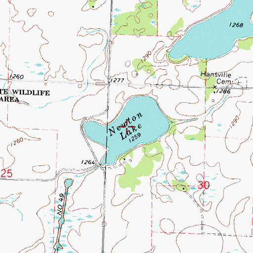 Topographic Map of Newton Lake, MN