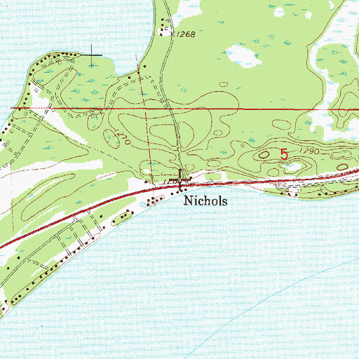 Topographic Map of Nichols, MN