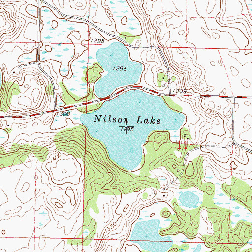 Topographic Map of Nilson Lake, MN