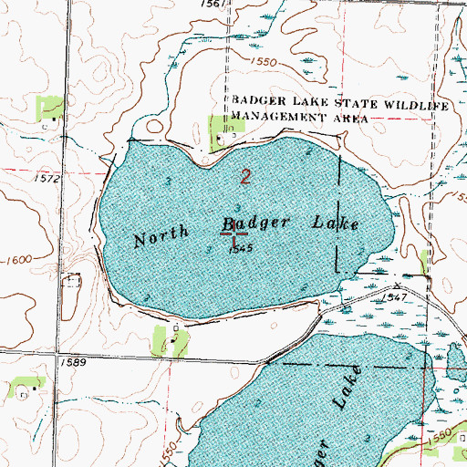 Topographic Map of North Badger Lake, MN