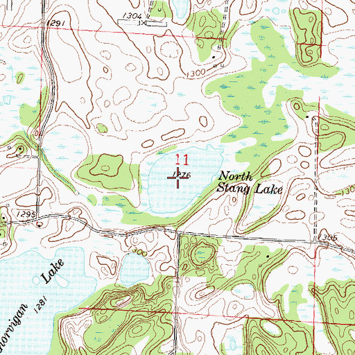 Topographic Map of North Stang Lake, MN