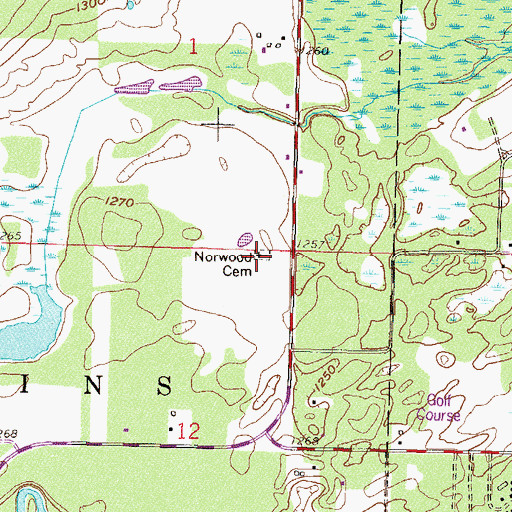 Topographic Map of Norwood Cemetery, MN