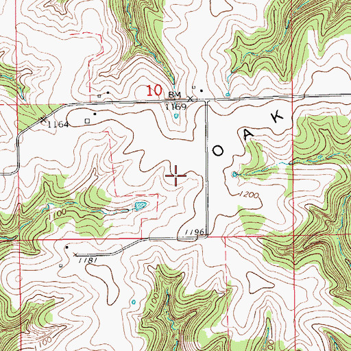 Topographic Map of Oak Ridge, MN