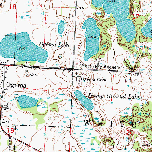 Topographic Map of Ogema Cemetery, MN