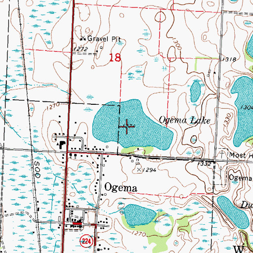 Topographic Map of Ogema Lake, MN