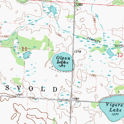 Topographic Map of Olson Lake, MN