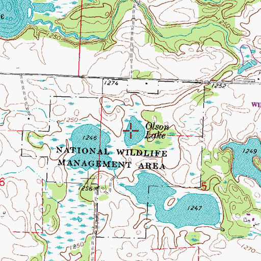 Topographic Map of Olson Lake, MN