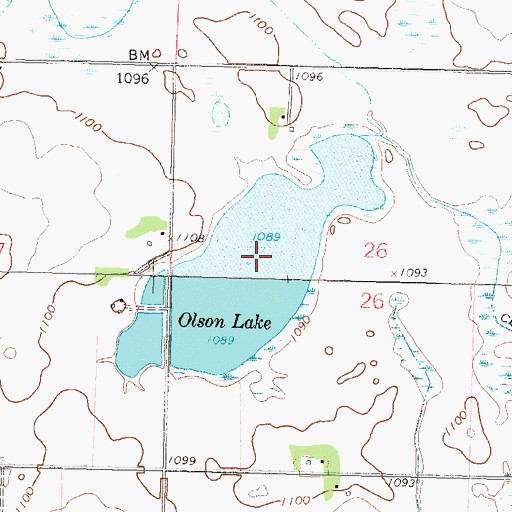 Topographic Map of Olson Lake, MN