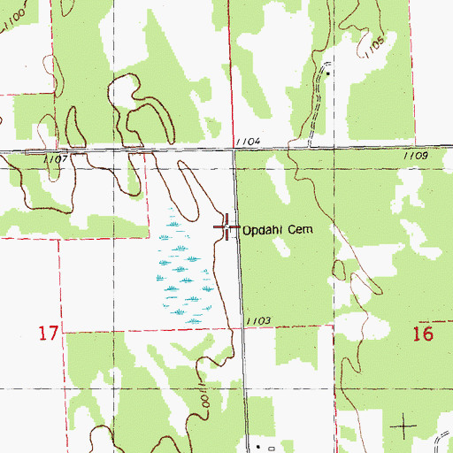 Topographic Map of Opdahl Cemetery, MN