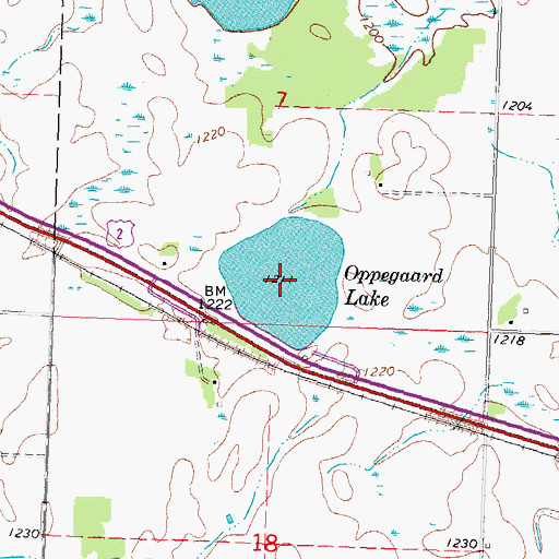 Topographic Map of Oppegaard Lake, MN
