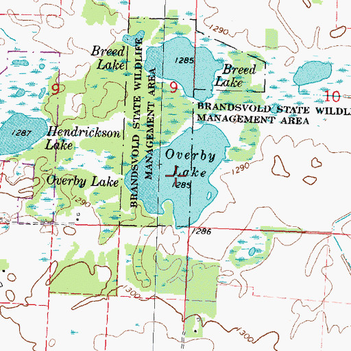 Topographic Map of Overby Lake, MN