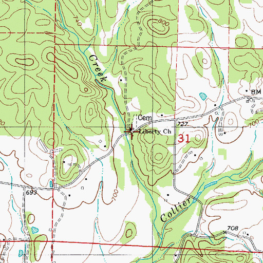 Topographic Map of Ophir, AR