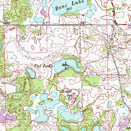 Topographic Map of Pat Lake, MN