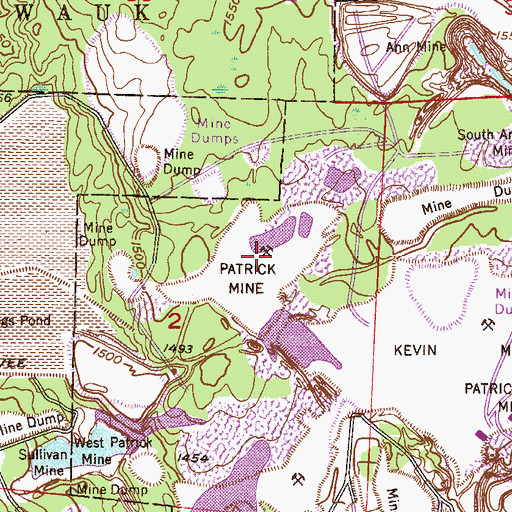 Topographic Map of Patrick Mine, MN