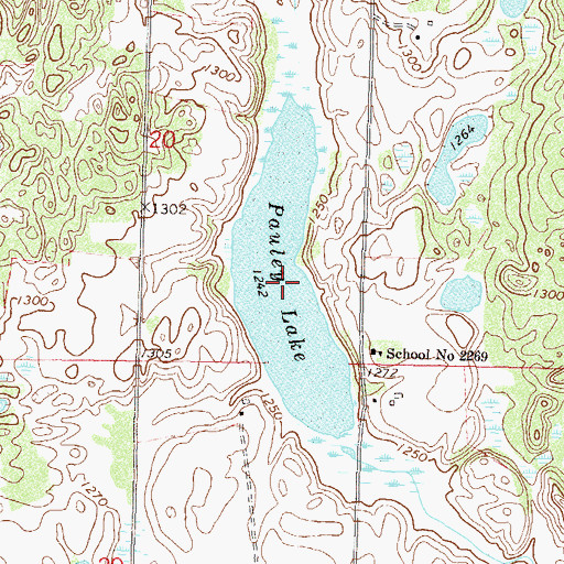 Topographic Map of Pauley Lake, MN