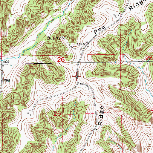 Topographic Map of Pea Ridge, MN