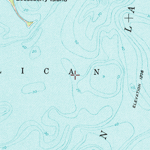 Topographic Map of Pelican Lake, MN