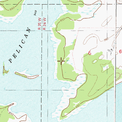 Topographic Map of Pelican Lake, MN