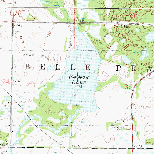Topographic Map of Pelkey Lake, MN