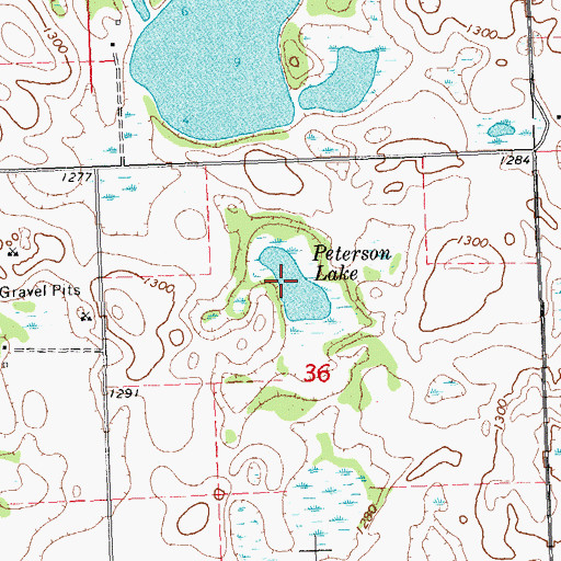 Topographic Map of Peterson Lake, MN