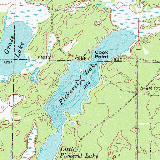 Topographic Map of Pickerel Lake, MN
