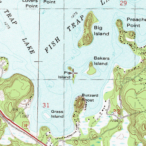 Topographic Map of Pig Island, MN