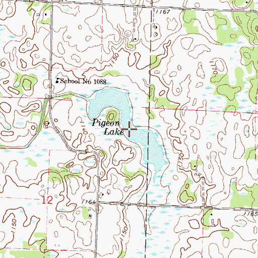 Topographic Map of Pigeon Lake, MN