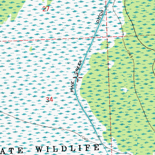 Topographic Map of Pine Creek Ditch, MN