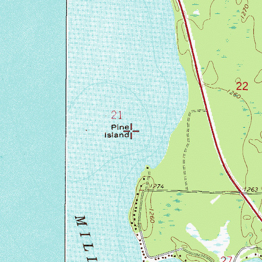 Topographic Map of Pine Island, MN