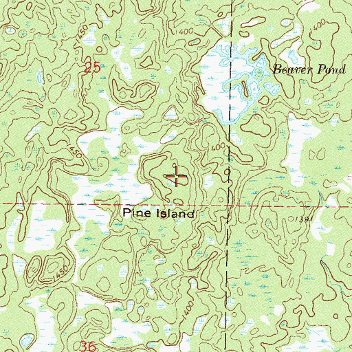 Topographic Map of Pine Island, MN