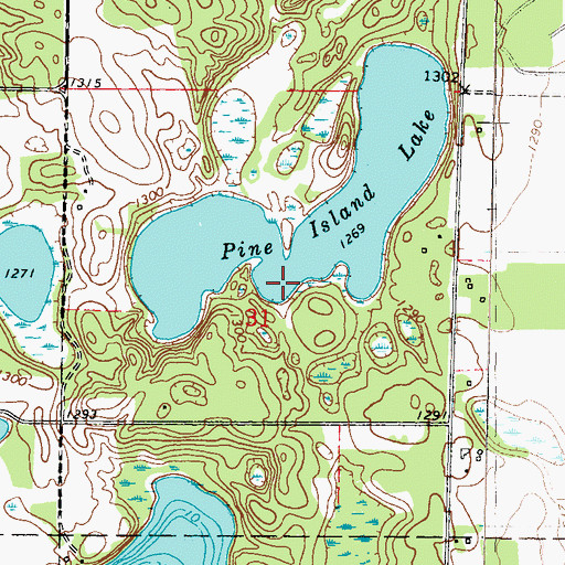 Topographic Map of Pine Island Lake, MN