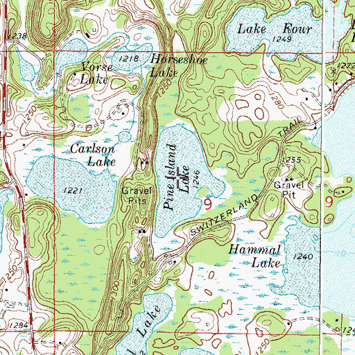 Topographic Map of Pine Island Lake, MN