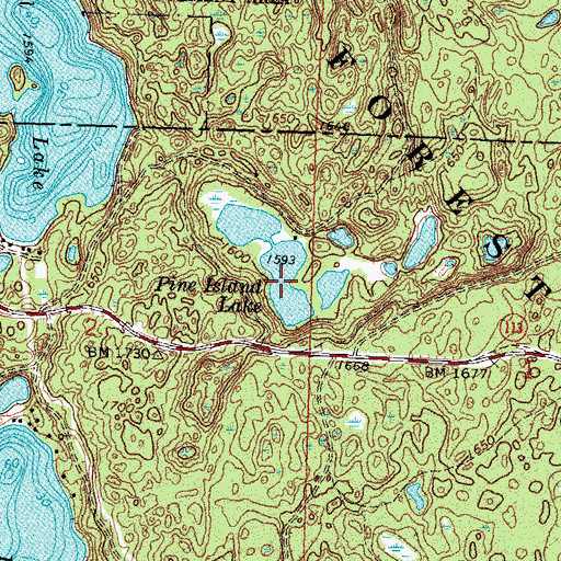 Topographic Map of Pine Island Lake, MN