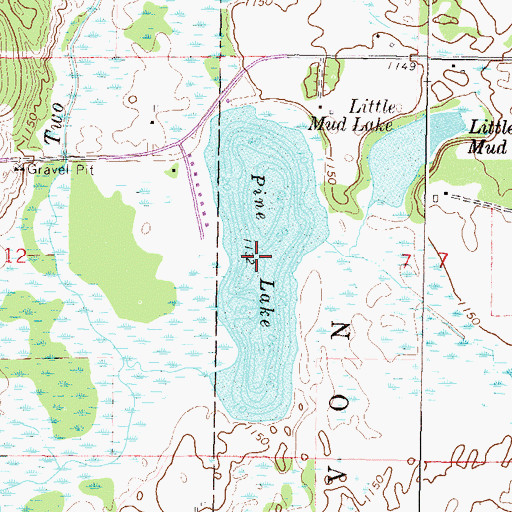Topographic Map of Pine Lake, MN