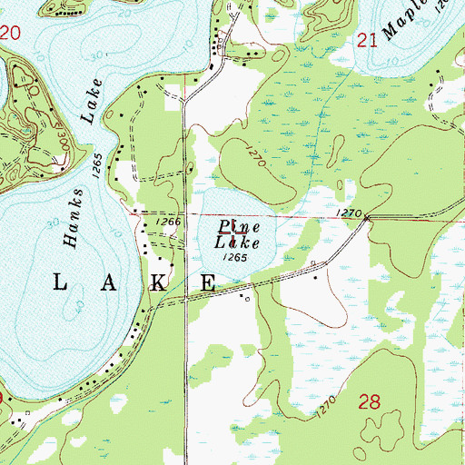 Topographic Map of Pine Lake, MN